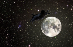 Porky jumps over the full moon
